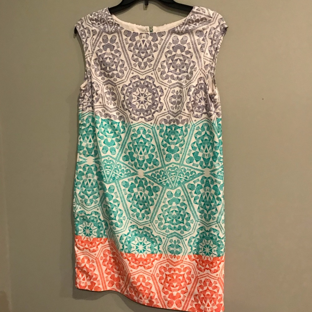 Limited Spring Shift Dress